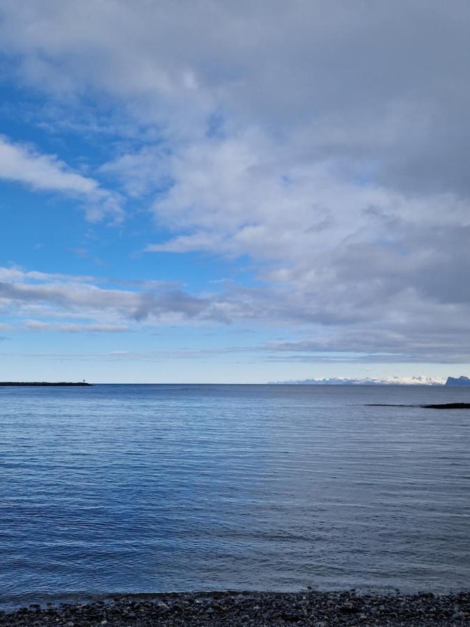 Roligheten Lodge In Andenes Eksteriør billede