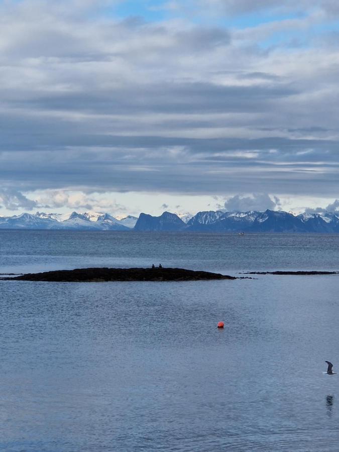 Roligheten Lodge In Andenes Eksteriør billede