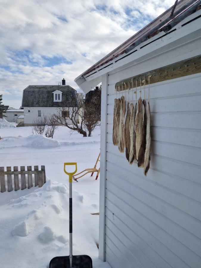 Roligheten Lodge In Andenes Eksteriør billede